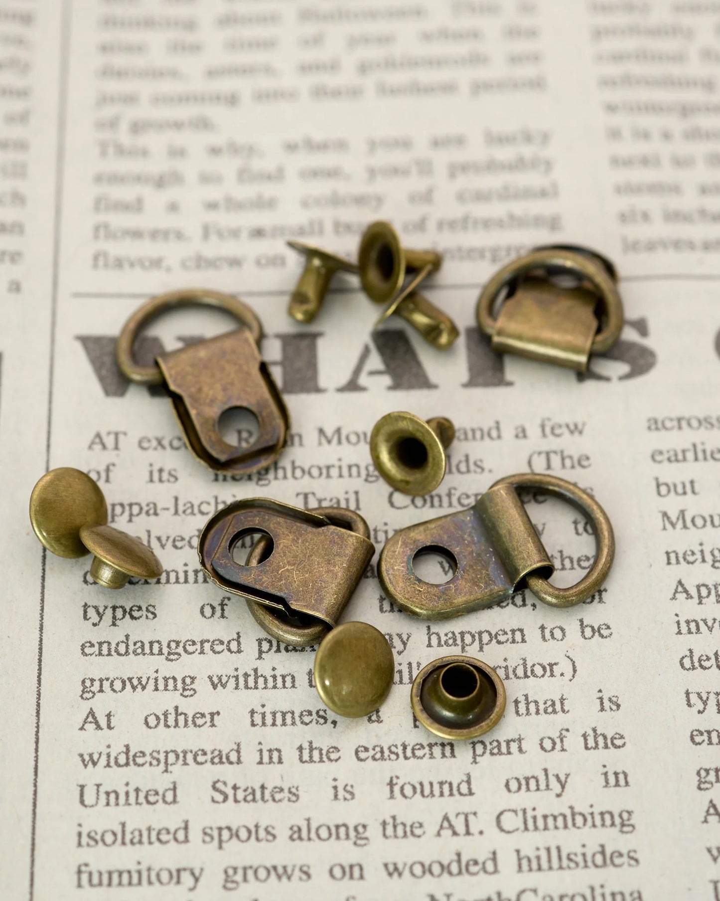 吊カン カシメ付き 内径10mm 金属製 10組入り mg119-1